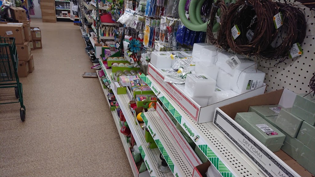 Dollar Tree | 1097 Nicola Ave #120, Port Coquitlam, BC V3B 8B2, Canada | Phone: (604) 942-7555
