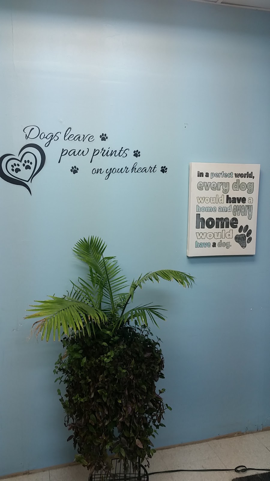 Doggie Dooze | 92 Main St S, Seaforth, ON N0K 1W0, Canada | Phone: (519) 527-0319