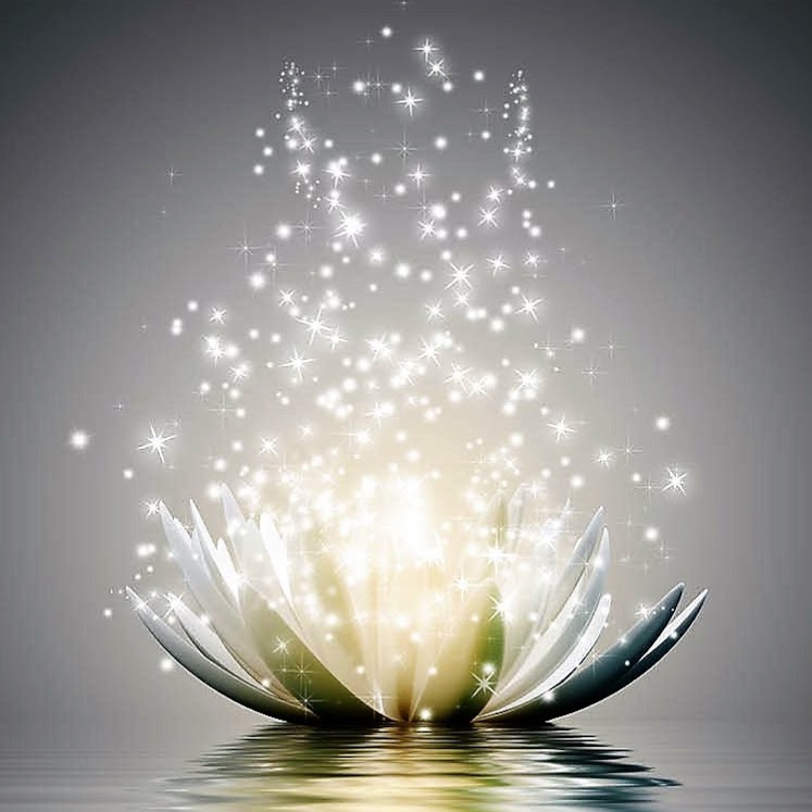 Mindful of light | 103 Kestrel St, Kitchener, ON N2K 4K1, Canada | Phone: (519) 503-7235
