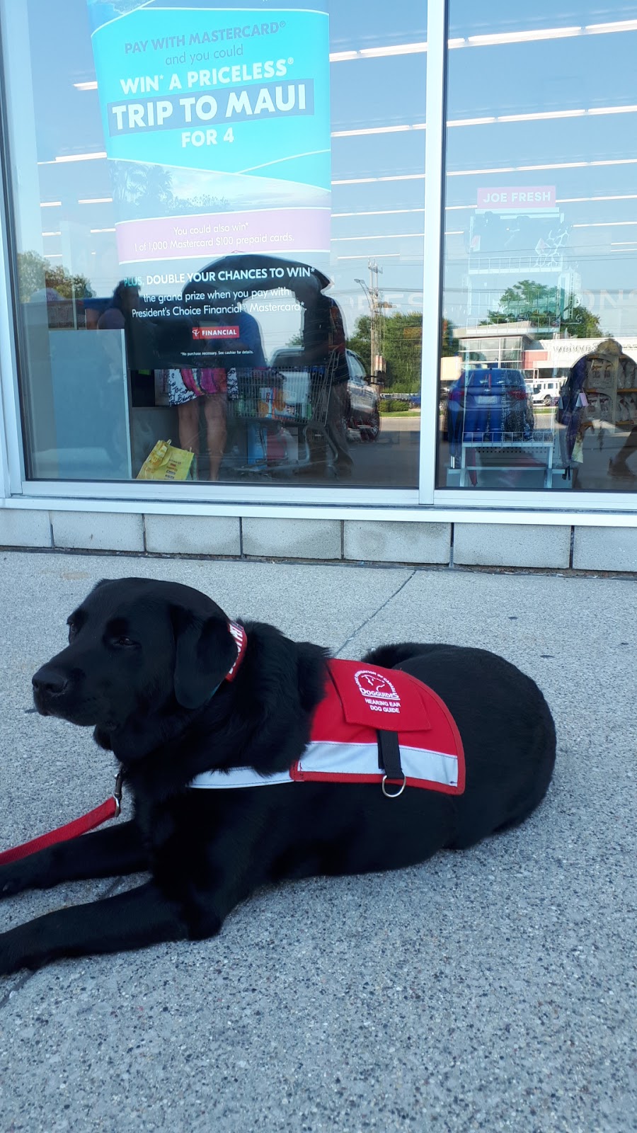 Shoppers Drug Mart | 260 Indian Rd S, Sarnia, ON N7T 3W4, Canada | Phone: (519) 337-3727