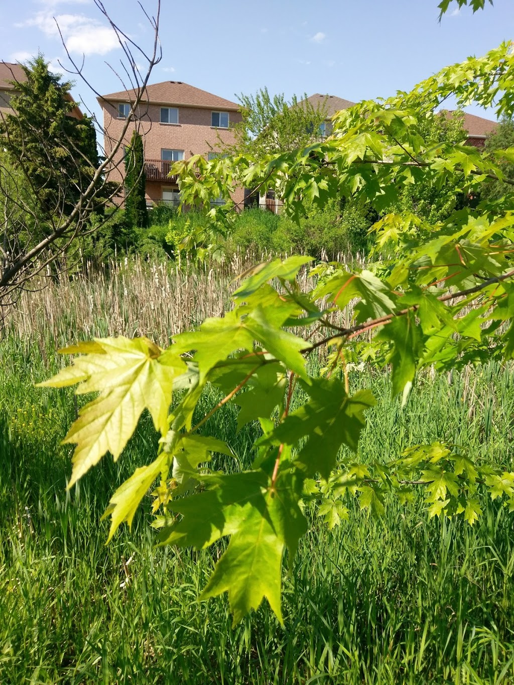 Stonewood Park | 7M4, 7348 Sandhurst Dr, Mississauga, ON L5N 7M4, Canada | Phone: (905) 615-4311