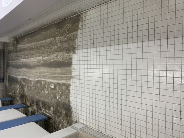 Natural Cleaning Systems | 70 Sunnyside Dr #26, London, ON N5X 3W4, Canada | Phone: (519) 679-8616