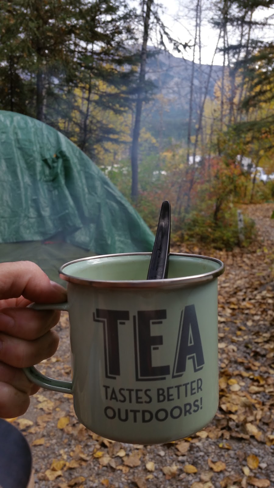 Wapiti Campground | 100 Ray McBride St, Canmore, AB T1W 0B1, Canada | Phone: (403) 678-9511