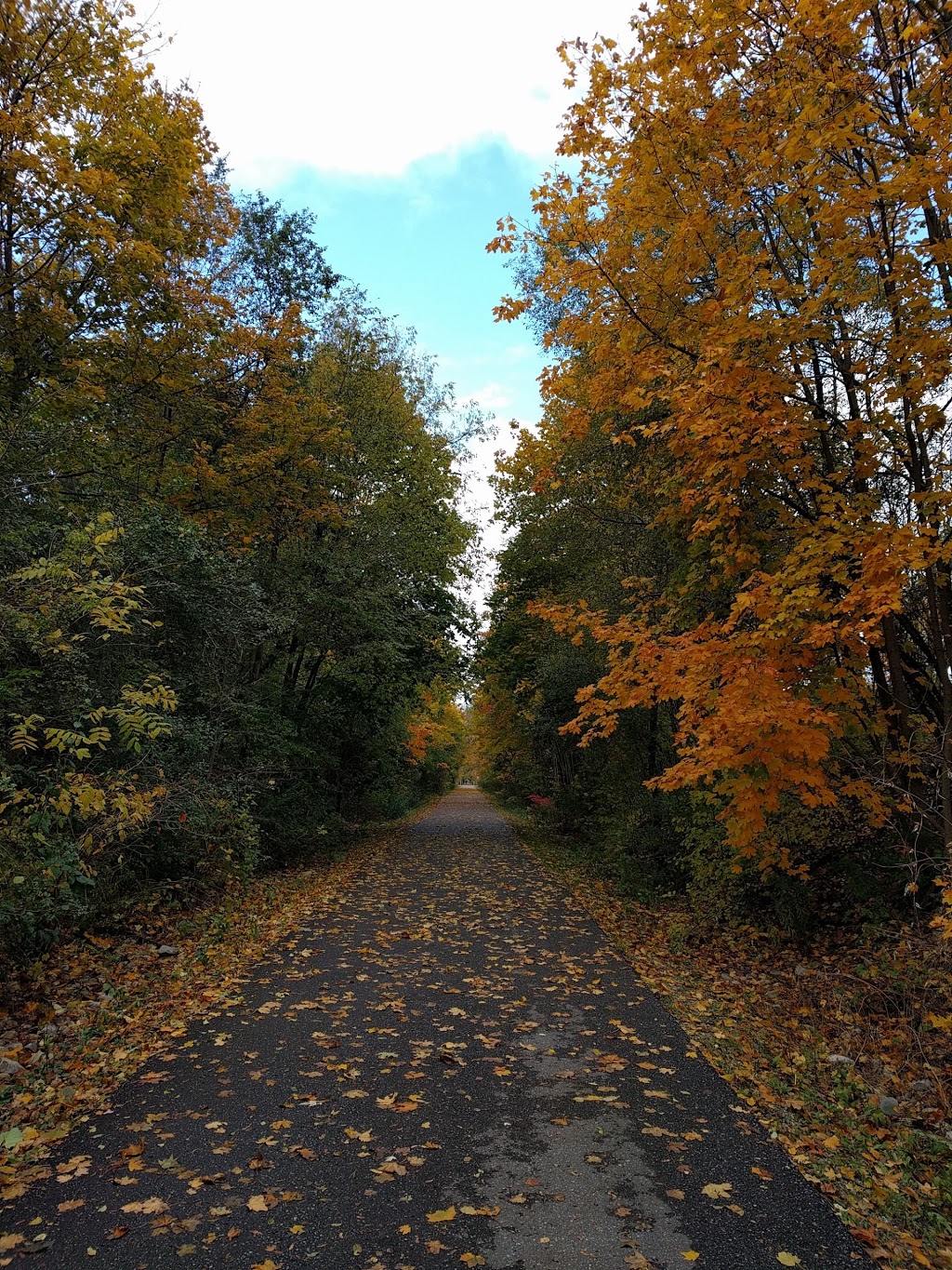 Don Mills Trail | 813 Lawrence Ave E, Toronto, ON M3C, Canada