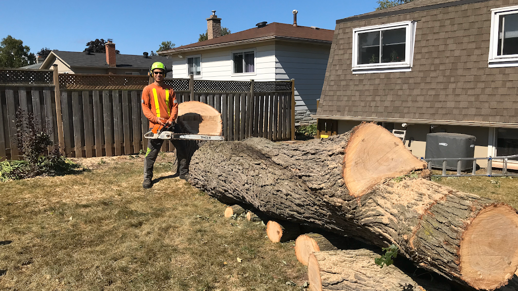 Macarthurs Tree And Home Services Inc. | 114 Arborglen Dr, Georgetown, ON L7G 6L4, Canada | Phone: (416) 414-2739