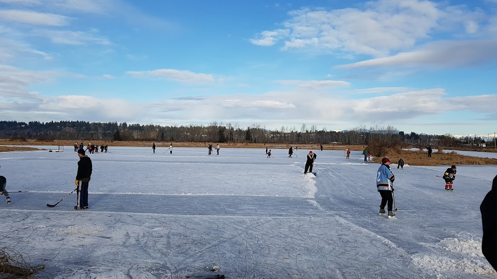 Serpentine Fen | King George Blvd, Surrey, BC V3S 0L2, Canada | Phone: (604) 591-4011