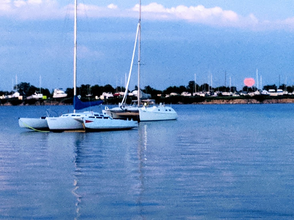 Toronto Multihull Cruising Club | 16 Regatta Rd, Toronto, ON M5A, Canada | Phone: (416) 461-0028