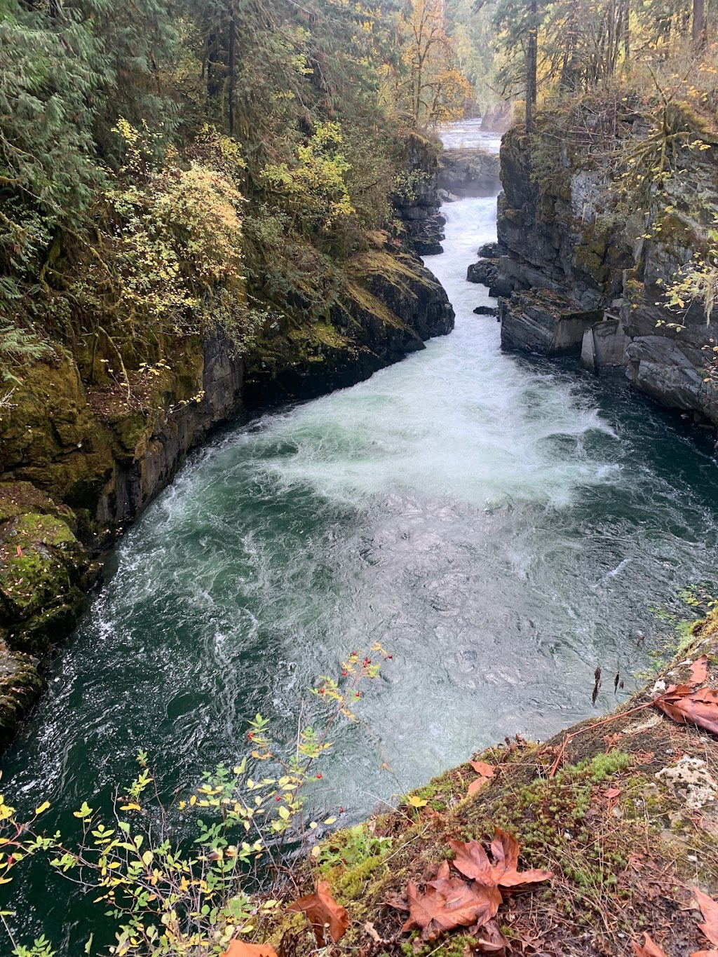 Stamp River Provincial Park | Beaver Creek Rd, Port Alberni, BC, Canada | Phone: (250) 474-1336