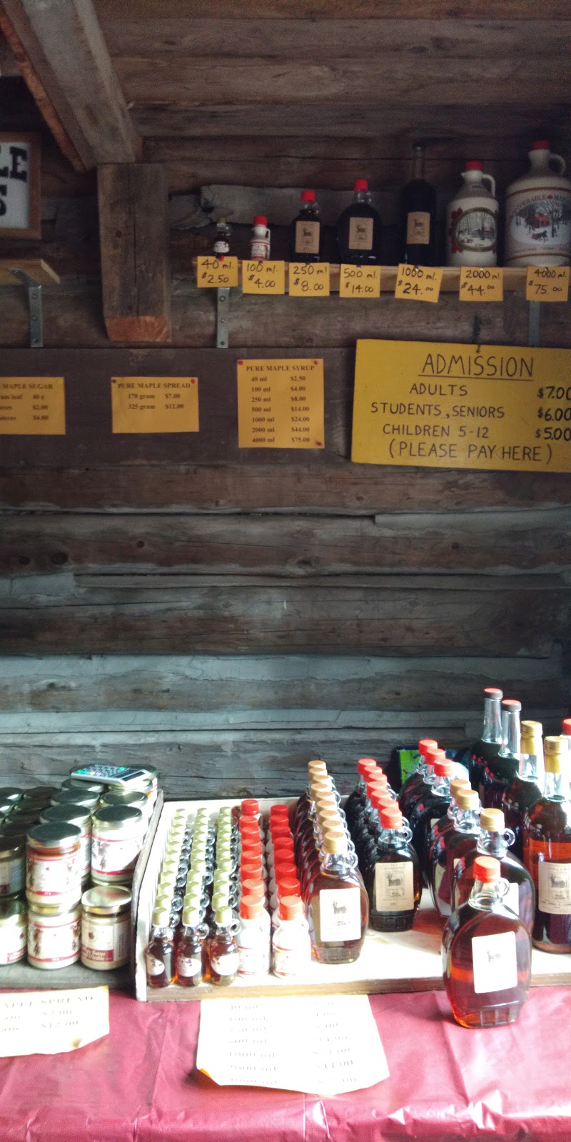 Horton Tree Farm | 5859 Slaters Rd, Gormley, ON L0H 1G0, Canada