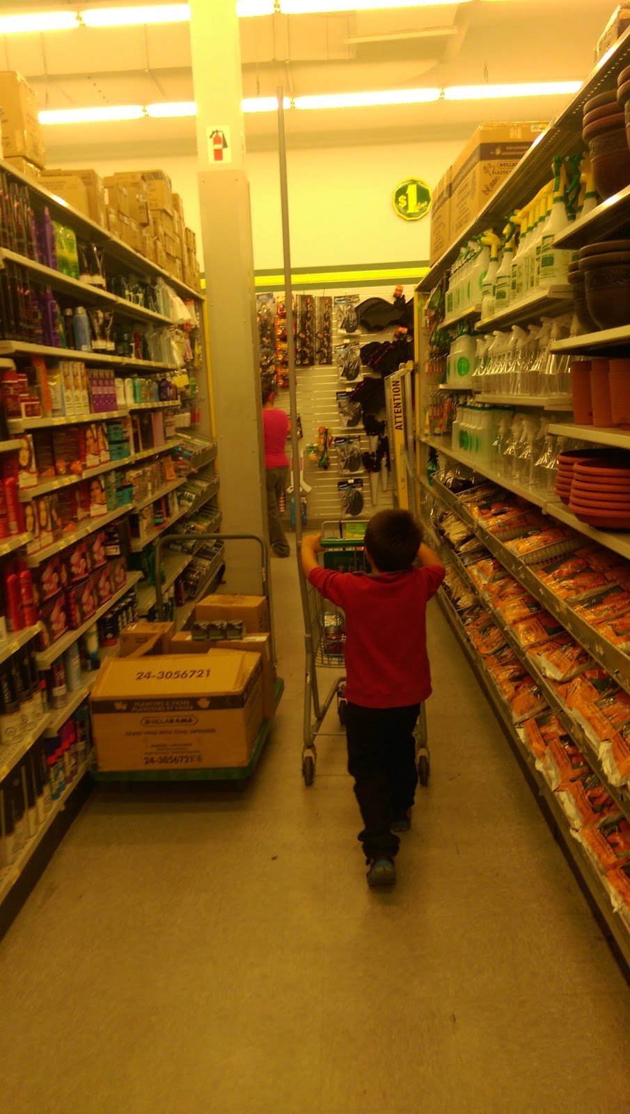 Dollarama | 1134 Boul Saint-Rene Ouest, Place Nelligan, Gatineau, QC J8T 8A5, Canada | Phone: (819) 243-8094