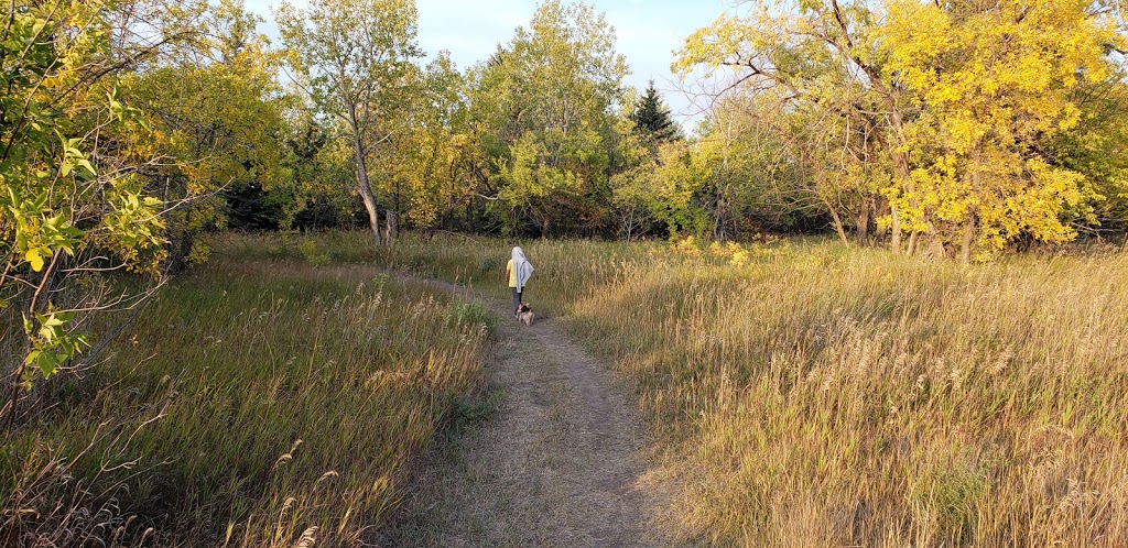 Southwest Dog Park | C.N. Yards Management Area, Saskatoon, SK S0K 1V0, Canada