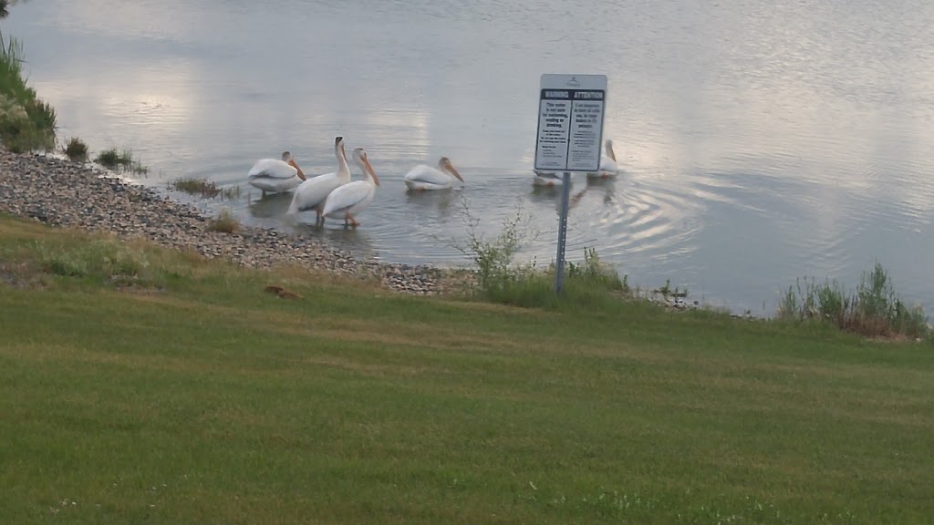 Aldgate Park | Dakota Crossing, Winnipeg, MB R2N, Canada
