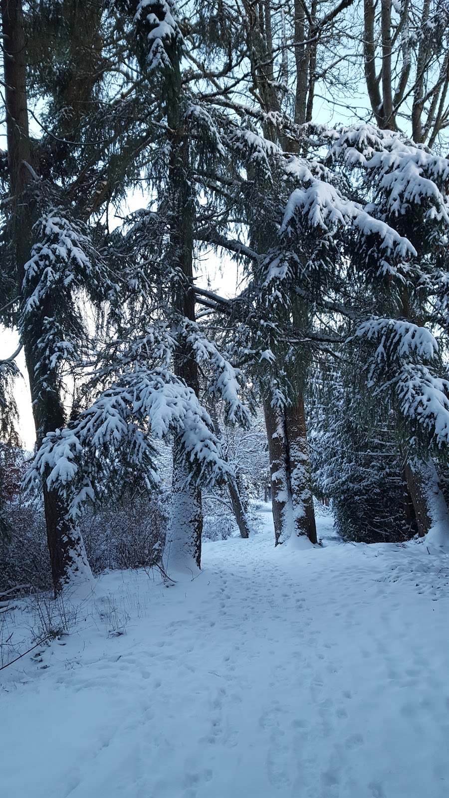 Northridge Park | 3400 Carrington Way, Bellingham, WA 43026, USA | Phone: (360) 778-7000
