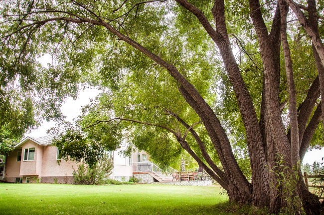 Rocking R Guest Ranch | 234051 Range Road 243, Strathmore, AB T1P 1J6, Canada | Phone: (403) 934-6974