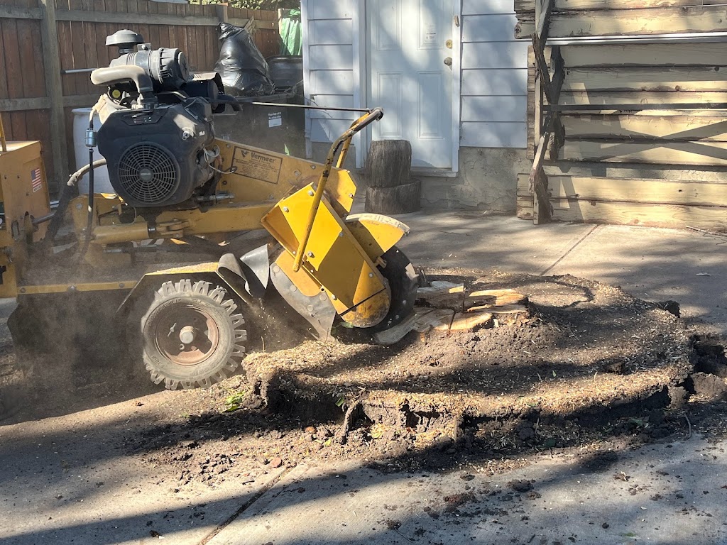 Stump Grinding Tree Service | 167 Edgemont Estates Dr NW, Calgary, AB T3A 2M4, Canada | Phone: (587) 586-1866