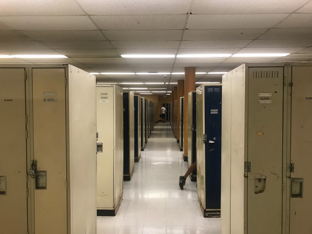 Collège de Maisonneuve | 2030 Pie-IX Blvd #430, Montreal, QC H1V 2C8, Canada | Phone: (514) 254-7131