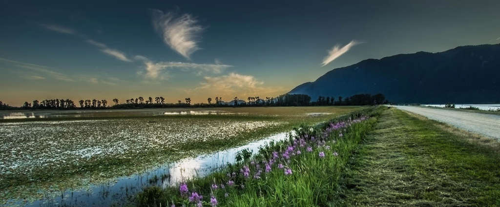 Pitt-Addington Marsh | Pitt Meadows, BC V3Y 1Z1, Canada