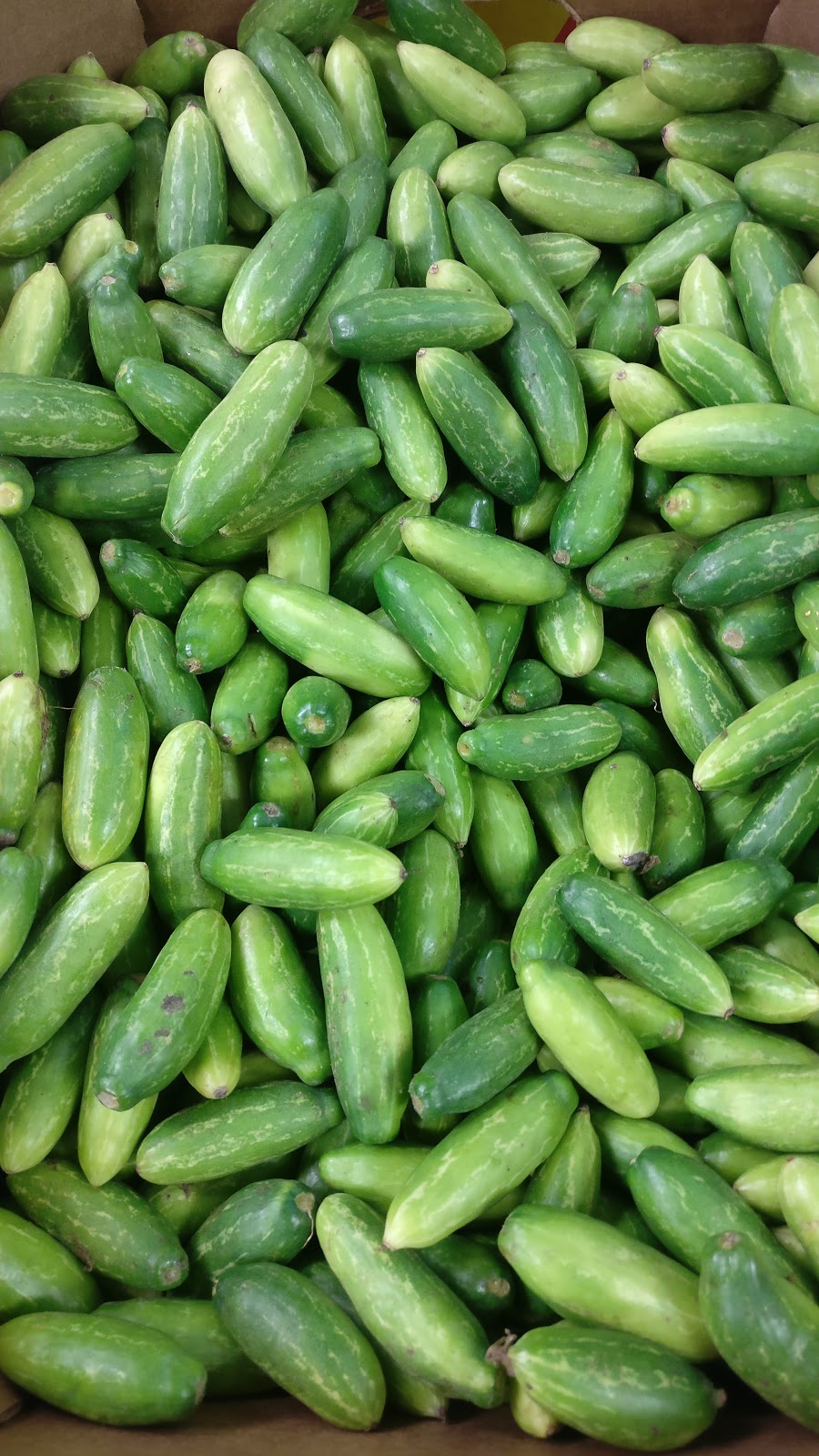 A1 South Asian Grocery & Food Center | 477 Grove St E, Barrie, ON L4M 6M3, Canada | Phone: (416) 802-8246