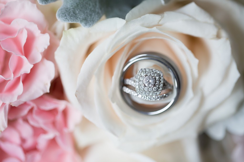 Allison Clark Photography | 17 Gollop Crescent, Georgetown, ON L7G 5P1, Canada | Phone: (416) 712-3459