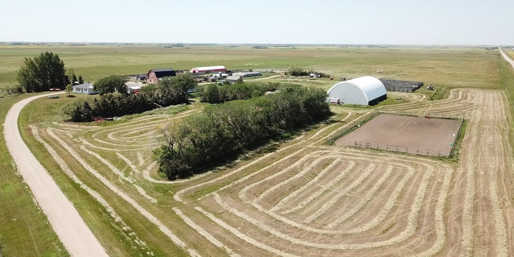 JE Ranch Inc | NW10-23-25 W2 - Box 83, Holdfast, SK S0G 2H0, Canada | Phone: (306) 488-4408