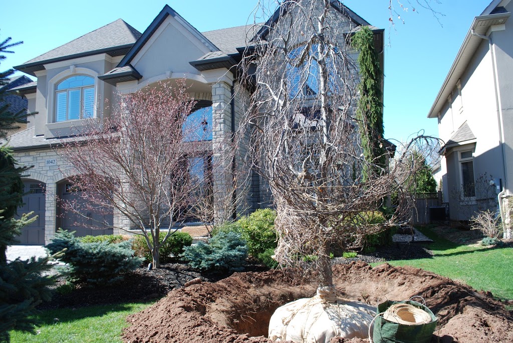 Cerelli Tree Farm | 8042 Appleby Line, Milton, ON L9T 2Y1, Canada | Phone: (905) 299-9677