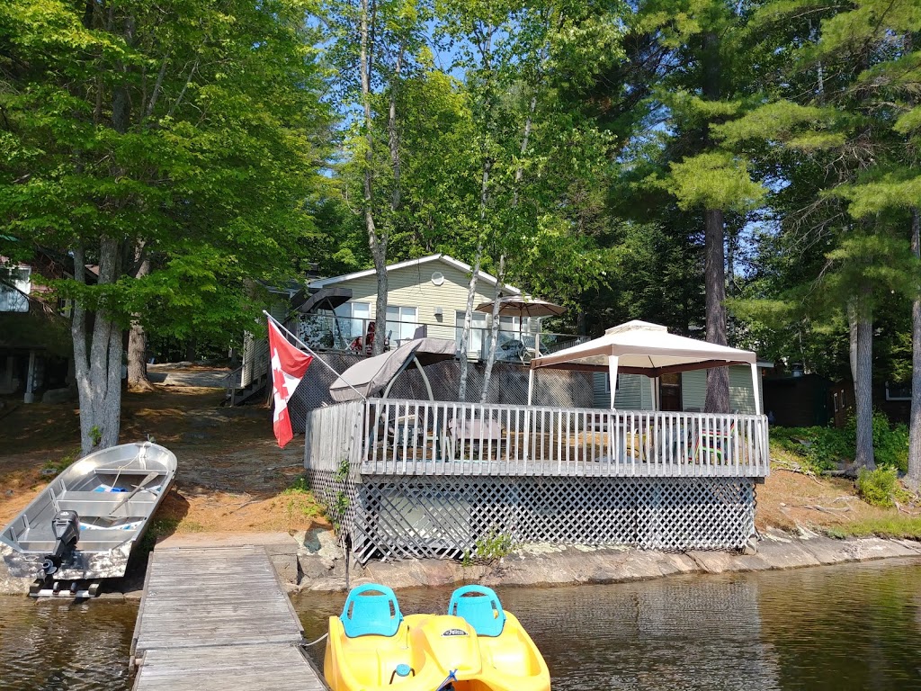 Roypetryrenovations | 1172 Oliver Rd, Algonquin Highlands, ON K0M 1J2, Canada | Phone: (705) 457-7179