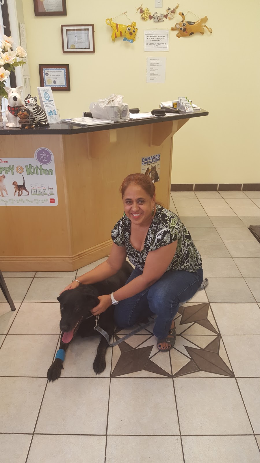 Northgate Animal Hospital | 2438 9th Ave N, Regina, SK S4R 7W3, Canada | Phone: (306) 543-7500