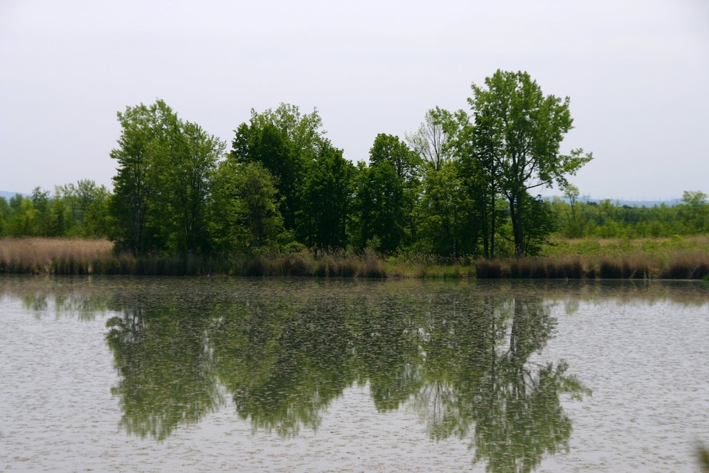Regional Park Beauharnois-Salaberry | Saint-Louis-de-Gonzague, QC J0S 1T0, Canada