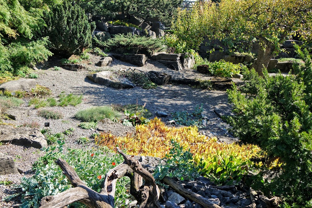 Alpine Garden | Montreal, QC H1X 2B4, Canada