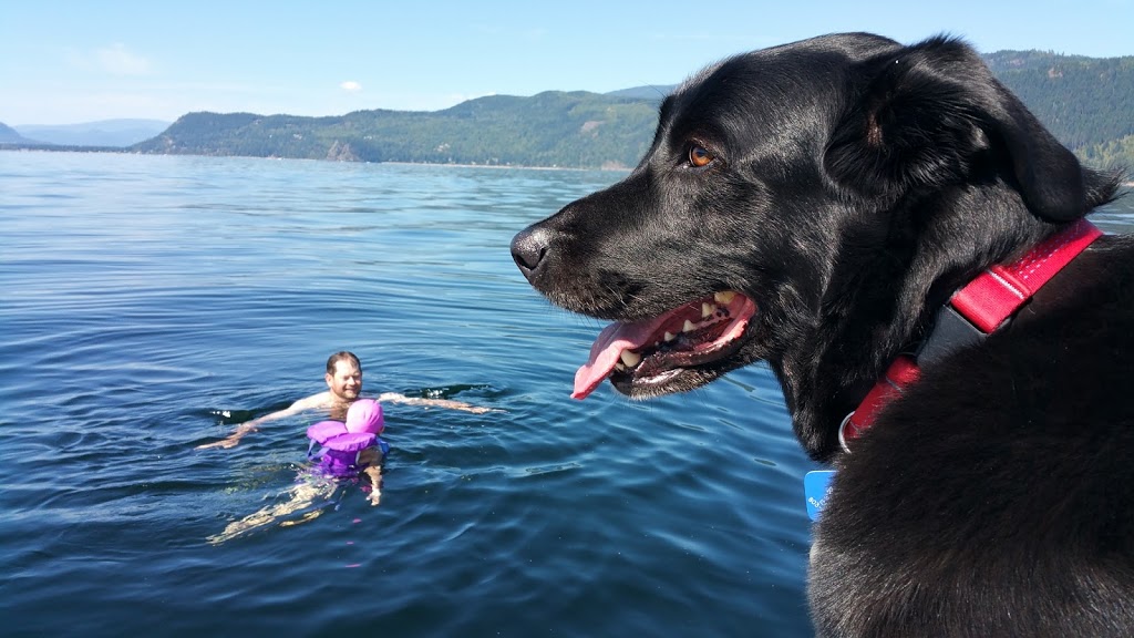 Shuswap Marina | 2127 Ingram Rd, Blind Bay, BC V0E 1H2, Canada | Phone: (250) 675-2250