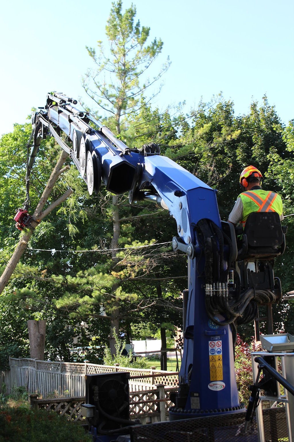Florapine Tree Service Inc. | 8768 ON-6, Arthur, ON N0G 1A0, Canada | Phone: (519) 848-5889