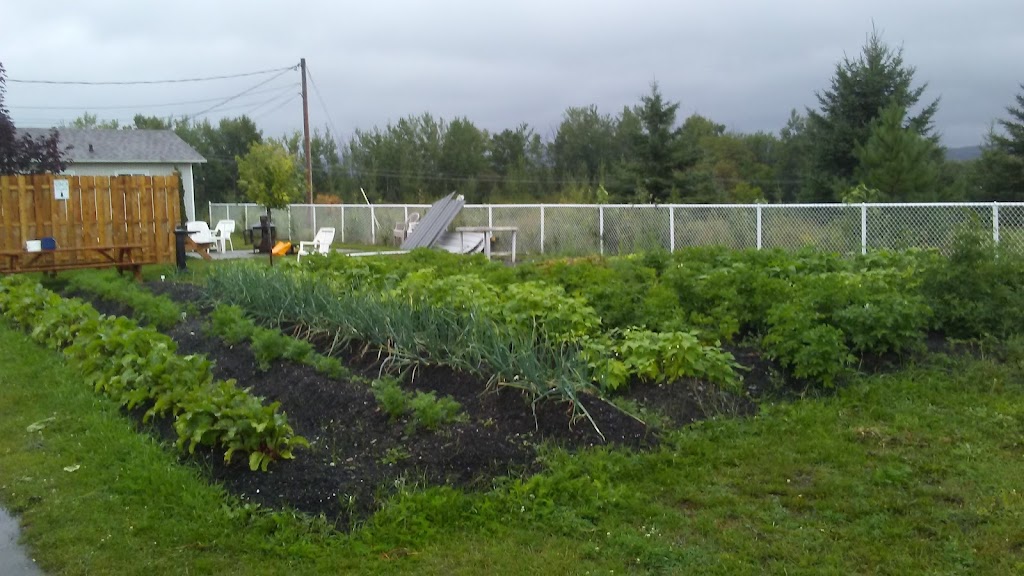 Centre de réinsertion sociale Domrémy Des Appalaches Inc | 100 Rue Caouette O, Thetford Mines, QC G6G 5R9, Canada | Phone: (418) 335-3529