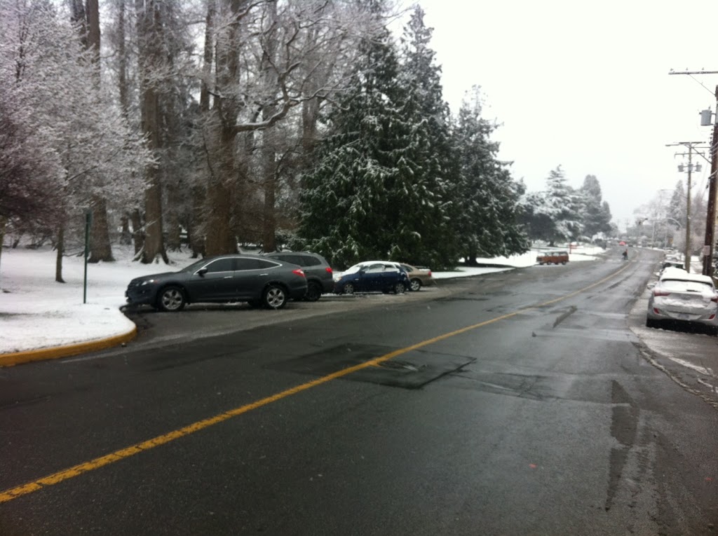 Beacon Hill Park Angle Parking | 210 Douglas St, Victoria, BC V8V 2P2, Canada