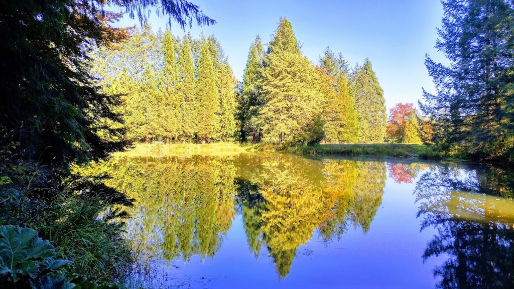 Godwin Farm Biodiversity Preserve | 9016 164 St, Surrey, BC V4N 2Z8, Canada | Phone: (604) 501-5050