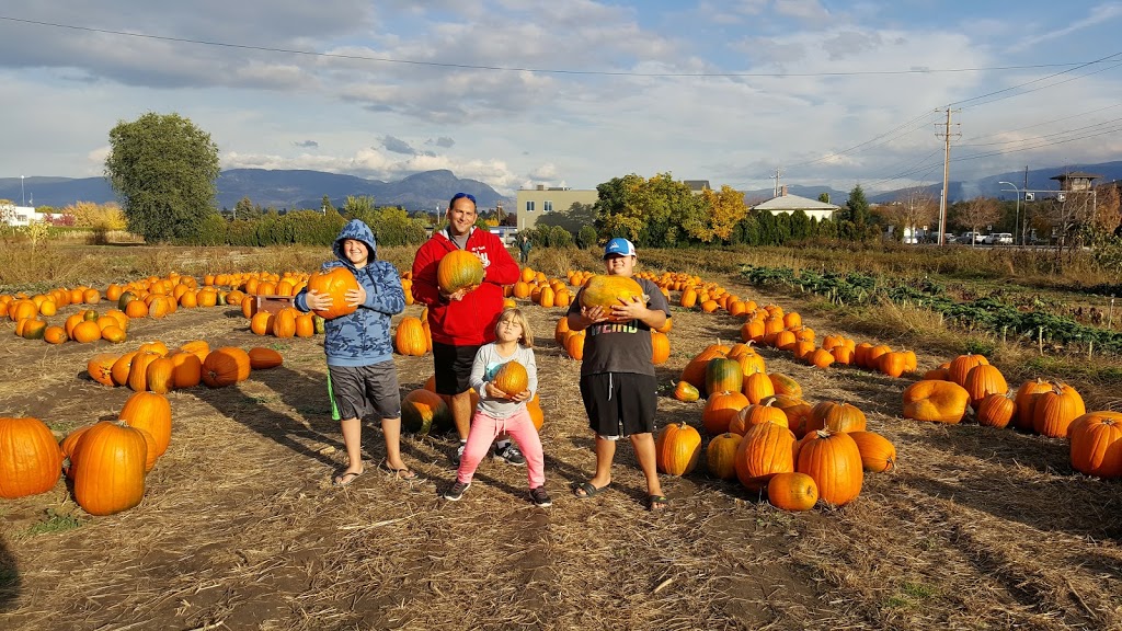 My Country Garden | 1760 K L O Rd, Kelowna, BC V1W 3P6, Canada | Phone: (250) 762-3249
