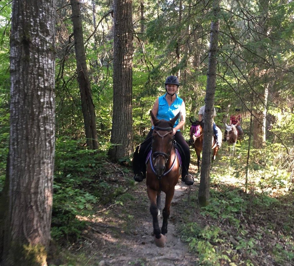Horse Country Campground | 503 Rafting Rd, Foresters Falls, ON K0J 1V0, Canada | Phone: (613) 867-0585