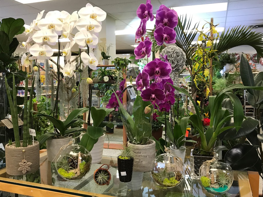 Truspeers Garden & Florist | 36 Scarlett Rd, York, ON M6N 4K1, Canada | Phone: (647) 436-9900