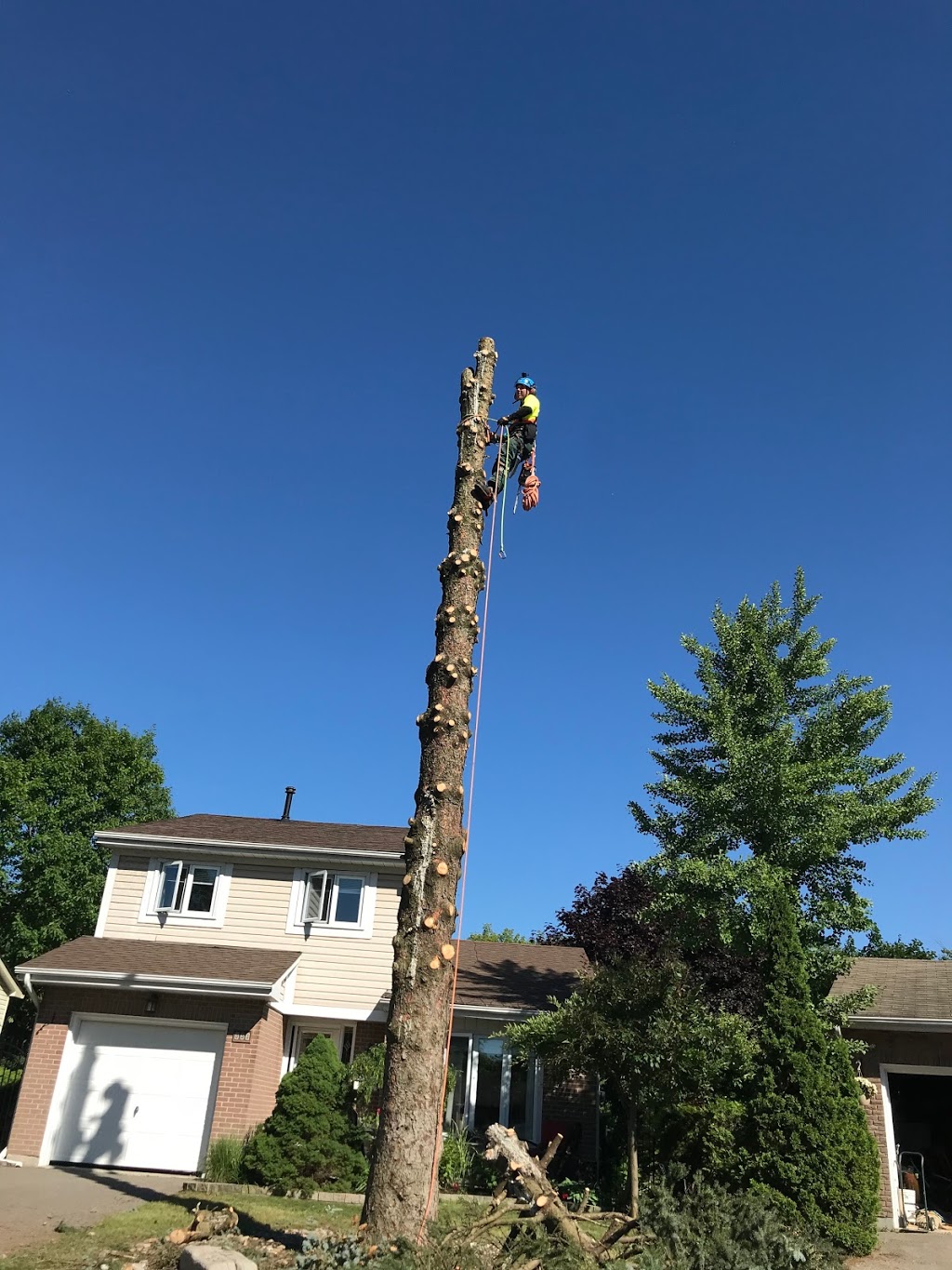 Mercier’s Tree Service | 270 Lorindale Dr, Oshawa, ON L1H 6X4, Canada | Phone: (289) 355-3177