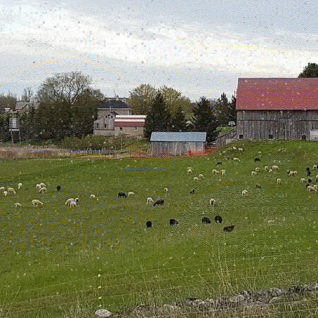 EcoWool Canada | 312088 Hwy 6, Ayton, ON N0G 1C0, Canada | Phone: (226) 203-2273