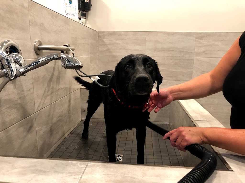 Lucky Paws Pet Supply and Dog Wash | 4485 Trans-Canada Hwy, Duncan, BC V9L 6L8, Canada | Phone: (250) 597-3647