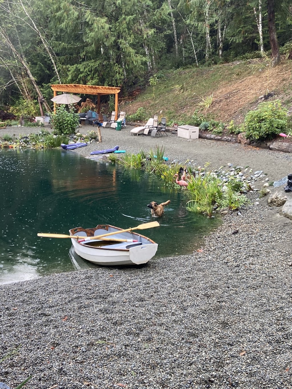 Hidden Pond | 4431 Spellman Pl, Victoria, BC V9C 4C5, Canada | Phone: (250) 415-1959