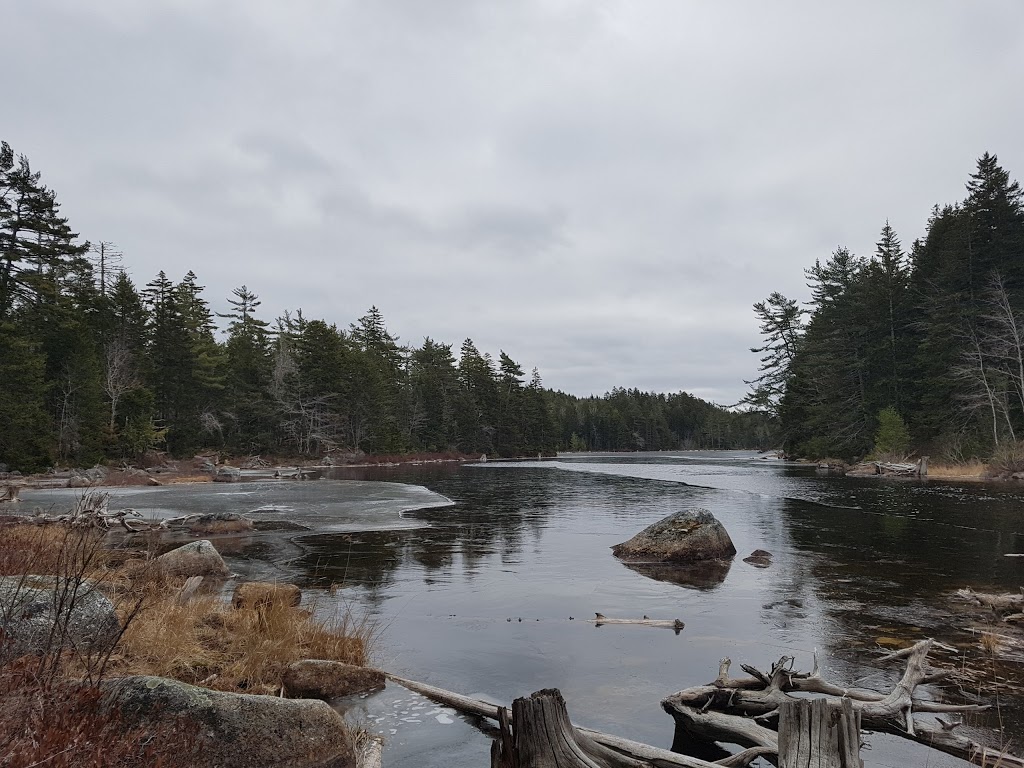Scout Island | 1254 Pipeline Rd, Upper Hammonds Plains, NS B4B 1P2, Canada