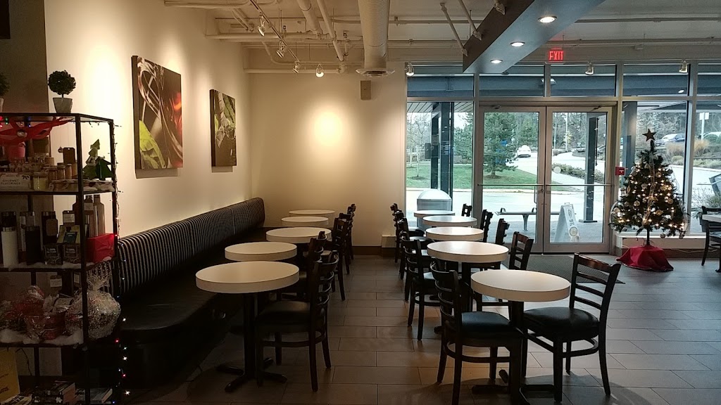 Blenz Coffee | 9750 140 St #103, Surrey, BC V3T 0G9, Canada | Phone: (604) 583-4248
