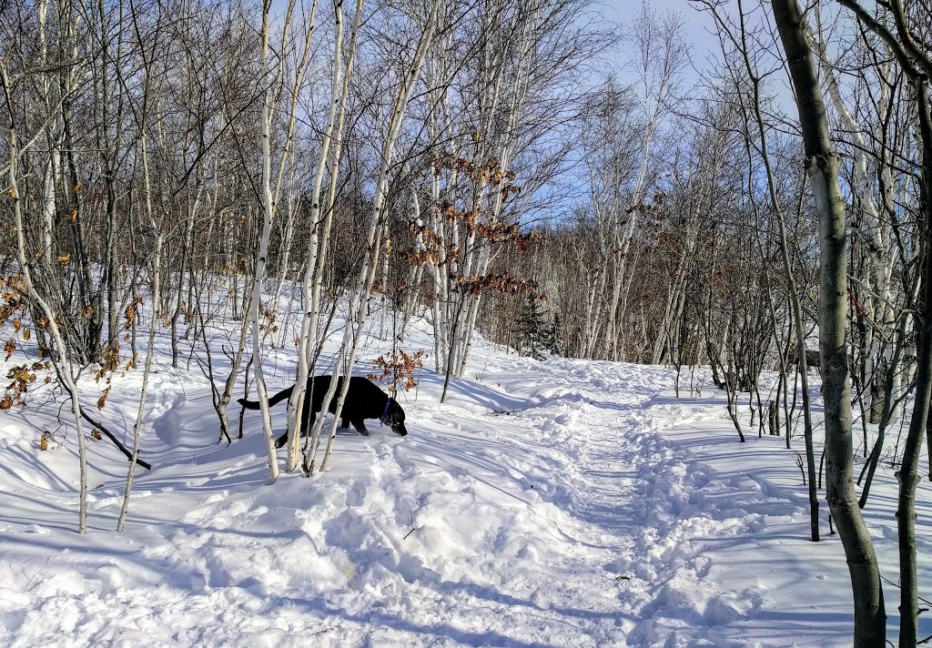 Lake Laurentian Conservation Area | 2309 S Bay Rd, Sudbury, ON P3E 6H7, Canada