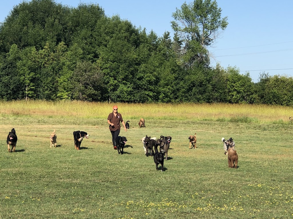 Victoria’s Canine Paradise | 2435 7 Line, Carleton Place, ON K7C 3P2, Canada | Phone: (613) 857-2252