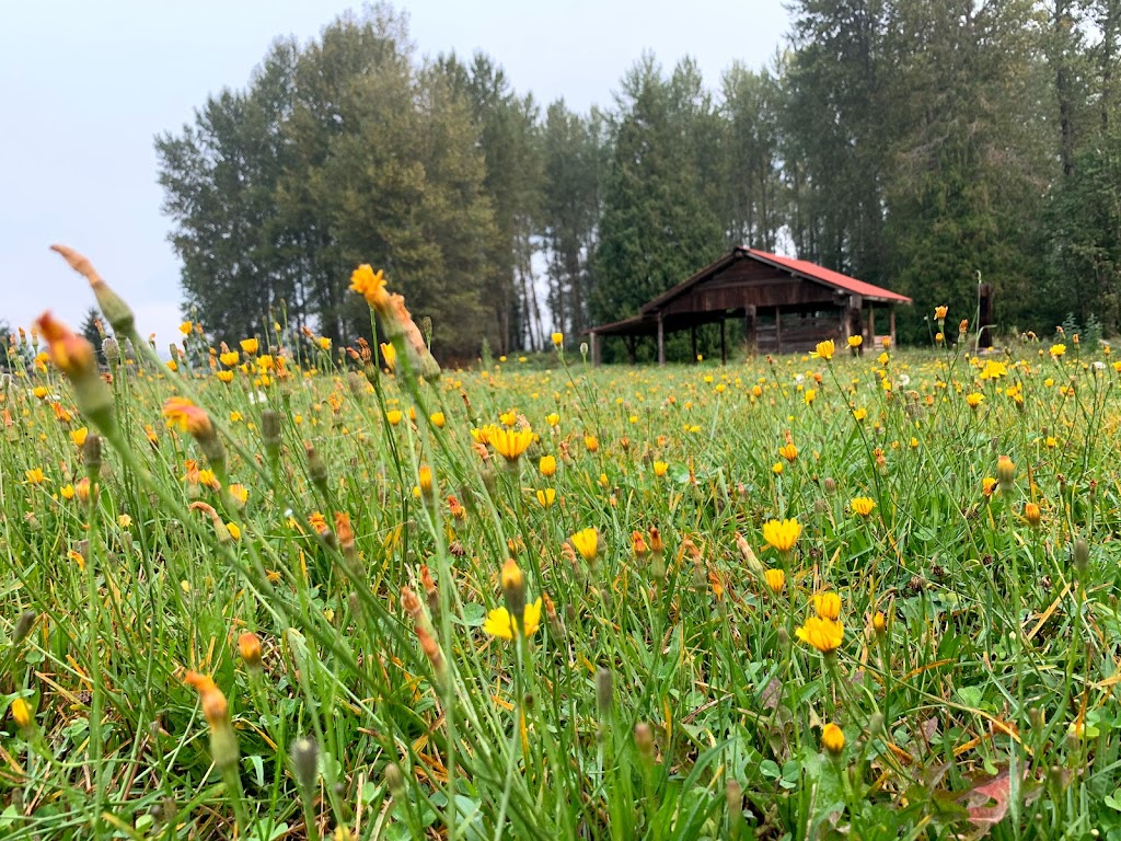 HappiLife Farm | 7702 Pemberton Meadows Rd, Pemberton, BC V0N 2L2, Canada | Phone: (604) 932-7844