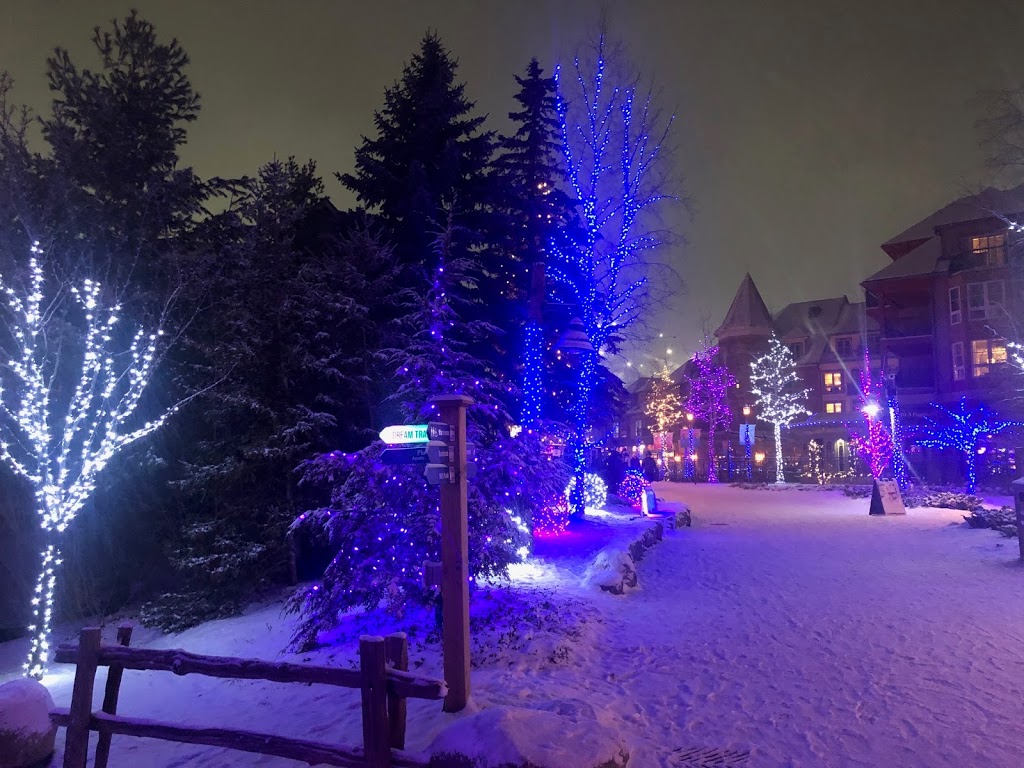 Open Air Gondola- Base | 150 Jozo Weider Blvd Unit AS8, The Blue Mountains, ON L9Y 0P7, Canada | Phone: (833) 583-2583