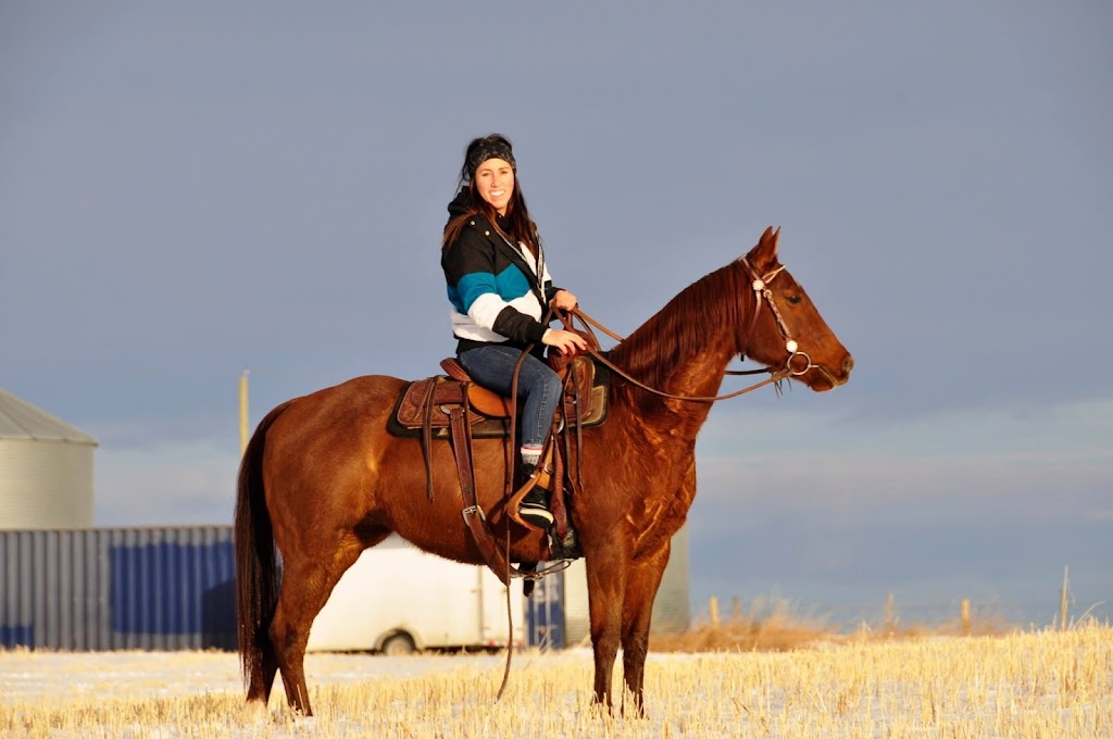 Rocky Hills Ranch | 434011 32st West 434 Ave and 32st West RR1 Site 7 Box 58, Okotoks, AB T1S 1A1, Canada | Phone: (403) 863-2484