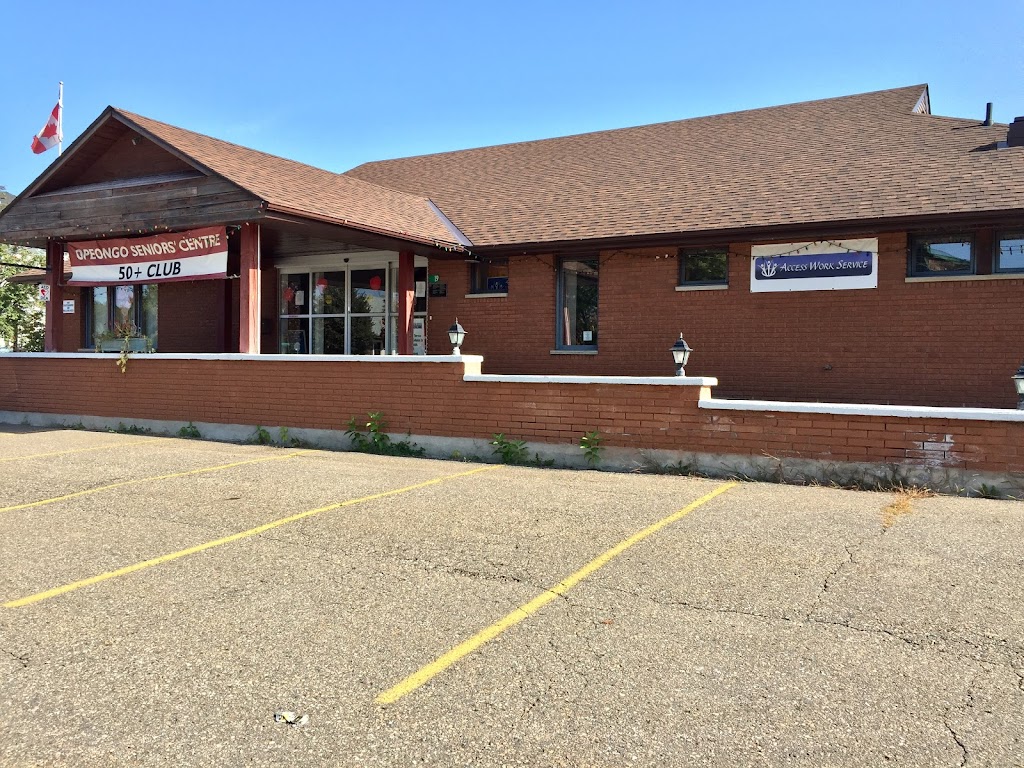 Access Work Service | 19 Stafford St, Barrys Bay, ON K0J 1B0, Canada | Phone: (613) 756-0723