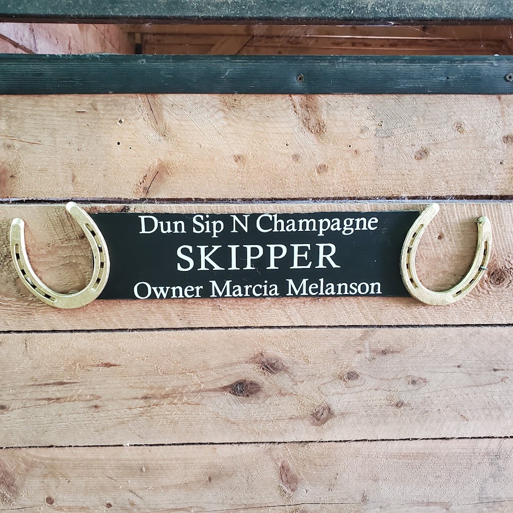 Saorsa Equestrian Centre | 1575 Middle Dyke Rd, Centreville, NS B0P 1J0, Canada | Phone: (902) 698-2500